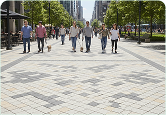 Urban roads and verges application